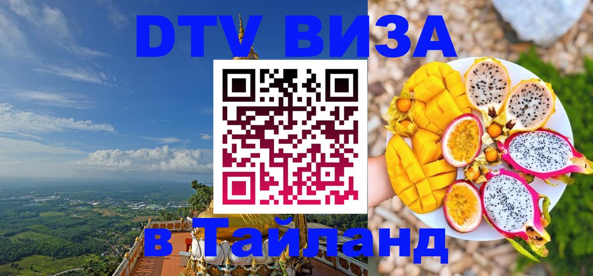 Оформление DTV визы под ключ: стоимость и тарифы, только загранпаспорт - Калининград 